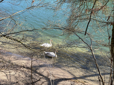 images/IMG_0353.png
