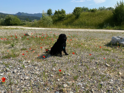 images/IMG_5120.png