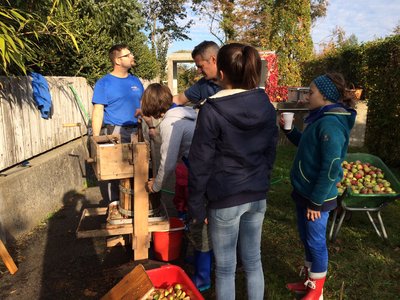 images/apfelsaft3.jpg