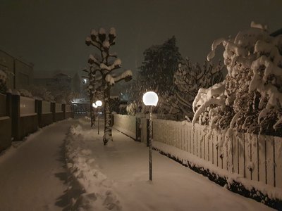 images/Platanen_Winter4.jpg