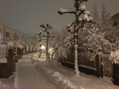 images/Platanen_Winter5.jpg